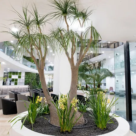 Ξενοδοχείο Gf Victoria Costa Adeje (Tenerife)